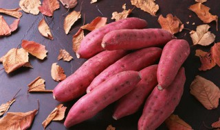 红薯和什么相克 关于吃红薯的五大注意事项你要收藏