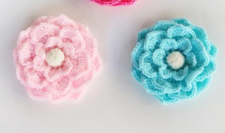 栀子花怎么钩 简单栀子花钩法