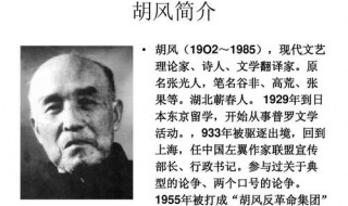 大胡风的特性 现实主义