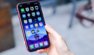 怎么降回12.4.1 需要什么操作