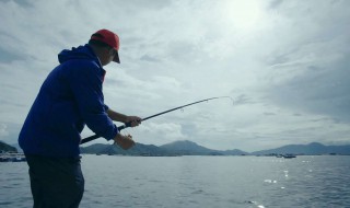 谷麦钓法用什么竿最好 让你钓鱼变简单