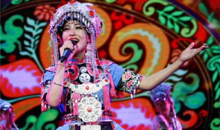 阿果吉曲在哪个综艺节目出现的 这首歌是写什么的？