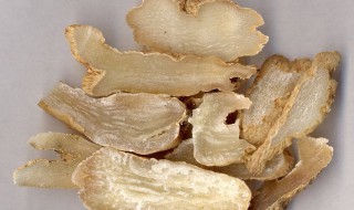 天麻泡酒最佳配方 服用方法