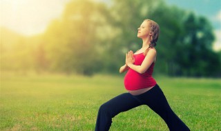 怀孕发朋友圈的句子 配上图片更好哦