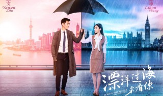 飘洋过海来看你电视剧大结局 你都了解吗