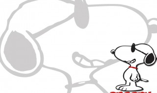 snoopy是什么牌子 你了解过吗