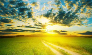 早上好句子适合发朋友圈 必看经典