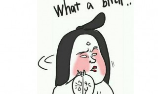 绿茶婊经典语录 盘点绿茶婊的经典语录