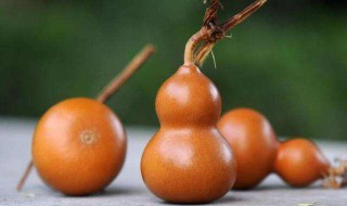 把玩葫芦龙头怎么处理 文玩小葫芦的龙头加固