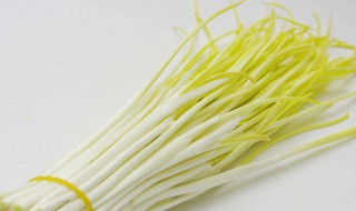 蒜黄种植技术 经验内容仅供参考