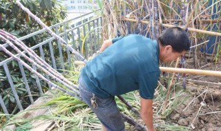 削皮刀怎么磨 甘蔗削皮刀的磨刀方法