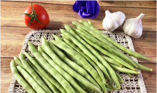 四季豆什么时候种最好 这几个月播种最好