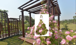 鹅湖玫瑰园要门票吗 给大家简单介绍一下