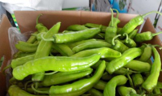 辣椒的吃法 为你推荐辣椒的4种吃法