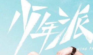 少年派第一季大结局 全剧终剧情