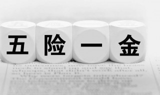 五险一金指的是哪些 你知道吗