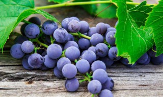 养肺最好的水果 今天为您介绍