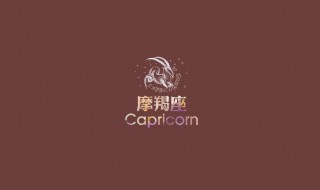 摩羯座2020年运势 全年运势讲解