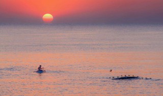 早起正能量句子 句句精辟!