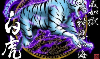 左青龙右白虎怎么定左右 大家可以了解一下