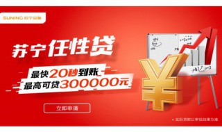 苏宁任性贷怎么样 大概有多少