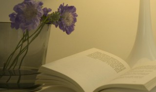 形容钻石的优美语句 关于钻石的唯美句子