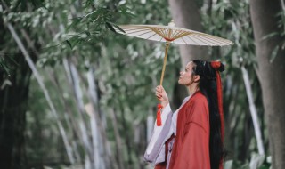 带雨的俗语 带雨的俗语精选