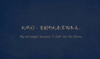 干净唯美的语录 干净唯美的语录有哪些