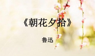 朝花夕拾的原名是什么 朝花夕拾的介绍