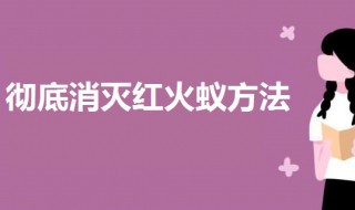 红火蚁彻底消灭方法 彻底清除红火蚁的方法