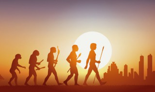 人类起源于多少年前 人类发展共经历了几个阶段