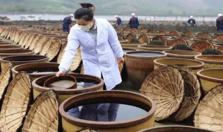 东方醋起源于哪里 东方醋起源于中国