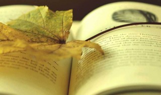 关于丁香的诗 关于丁香的诗推荐