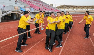 拔河作文 优秀范文如下