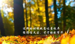 生活不易下一句励志话 有什么励志的句子