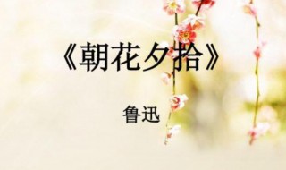 朝花夕拾第二章读后感 朝花夕拾第二章概括