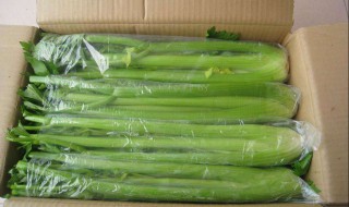 青菜的保鲜方法 蔬菜怎么保鲜