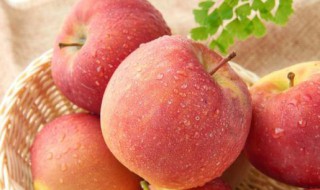苹果保鲜储存方法 苹果保鲜的方法技巧