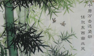 任尔东西南北风的上一句是什么 任尔东西南北风原文及译文