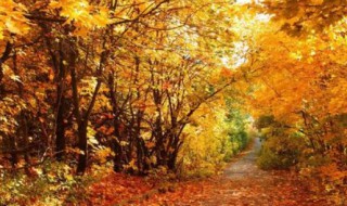 关于秋天的四字词语有哪些 秋天的四字词释义