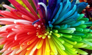 表示颜色的词语有哪些 表示颜色的词语精选