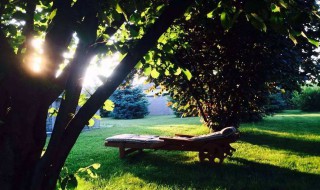 夏天的成语有哪些 分别是什么意思呢