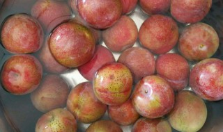 紫色李子如何做果脯 紫色李子怎么做果脯