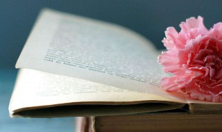 过年朋友圈说说 春节回家的说说心情