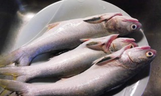 鱼处理了怎么保存 宰杀了的鱼怎样保存新鲜