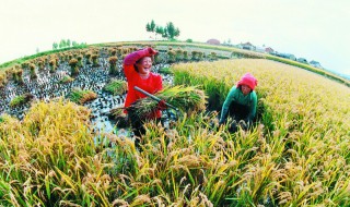 拒绝浪费从我做起的作文 让我们从身边的小事做起