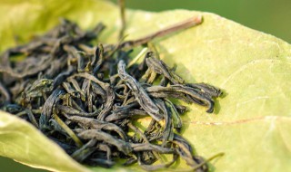 绿茶叶怎样做面膜 有什么做面膜的步骤呢