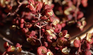 花椒面如何做的 花椒面做法