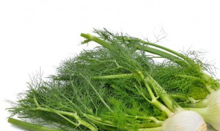 小茴香包肉饺子怎样做 馅料应该这样调