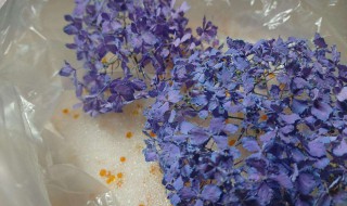 怎样用干燥剂做永生花 用干燥剂制作干花永生花的步骤